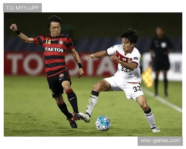 托纳利战术角色与体系适配性解析 托纳利战术角色与体系适配性解析